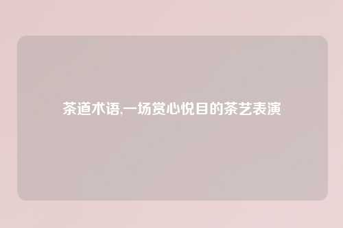 茶道术语,一场赏心悦目的茶艺表演