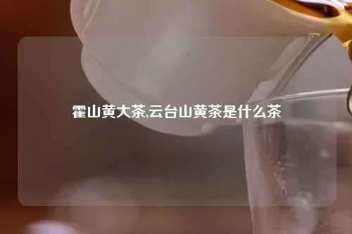 霍山黄大茶,云台山黄茶是什么茶