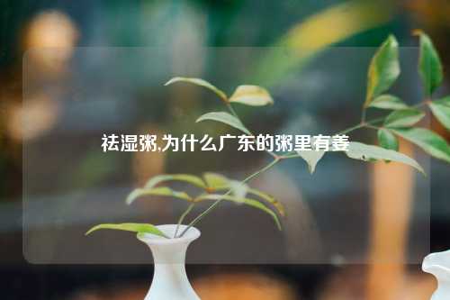 祛湿粥,为什么广东的粥里有姜