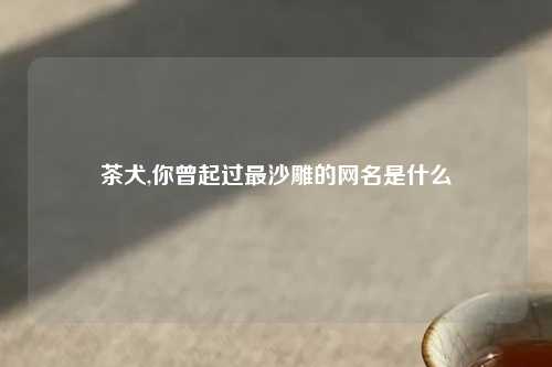 茶犬,你曾起过最沙雕的网名是什么