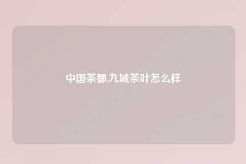 中国茶都,九城茶叶怎么样