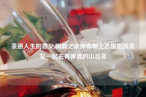茶道人生的意义,闲暇之余你会带上志趣相投茶友一起去有禅境的山品茗