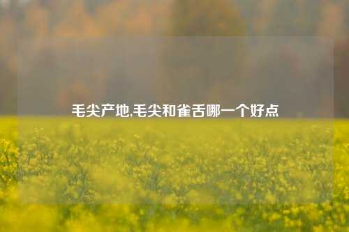 毛尖产地,毛尖和雀舌哪一个好点