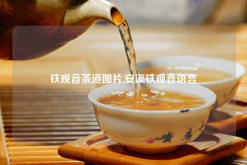铁观音茶道图片,安溪铁观音语言