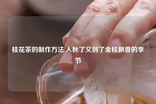 桂花茶的制作方法,入秋了又到了金桂飘香的季节