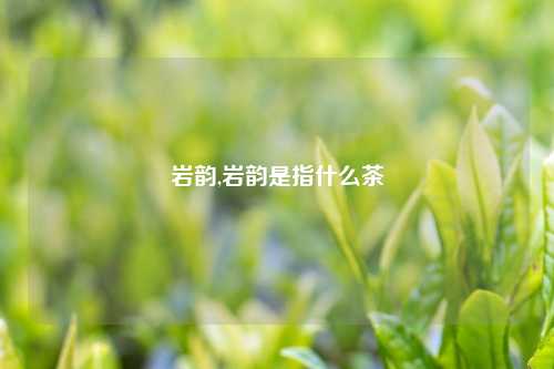 岩韵,岩韵是指什么茶