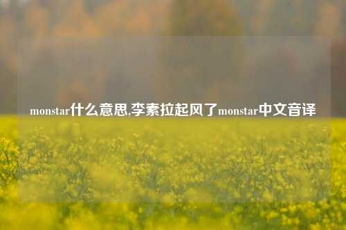monstar什么意思,李素拉起风了monstar中文音译