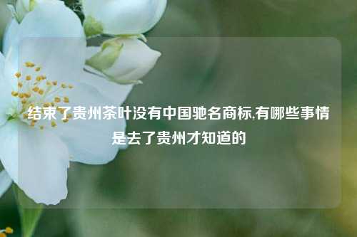 结束了贵州茶叶没有中国驰名商标,有哪些事情是去了贵州才知道的