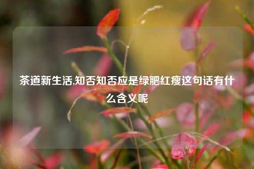 茶道新生活,知否知否应是绿肥红瘦这句话有什么含义呢