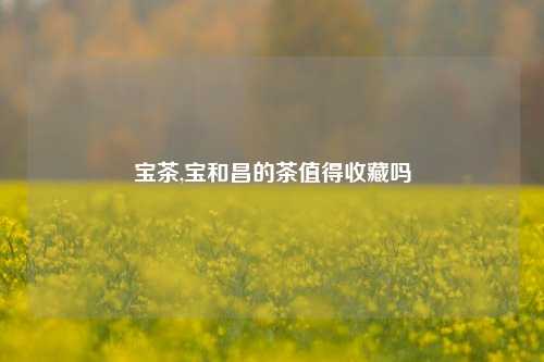 宝茶,宝和昌的茶值得收藏吗