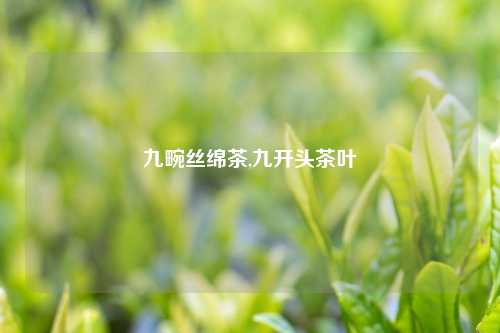九畹丝绵茶,九开头茶叶