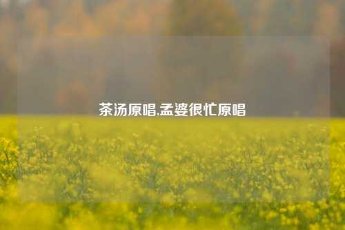 茶汤原唱,孟婆很忙原唱