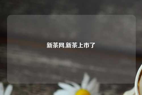 新茶网,新茶上市了