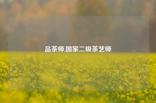 品茶师,国家二级茶艺师