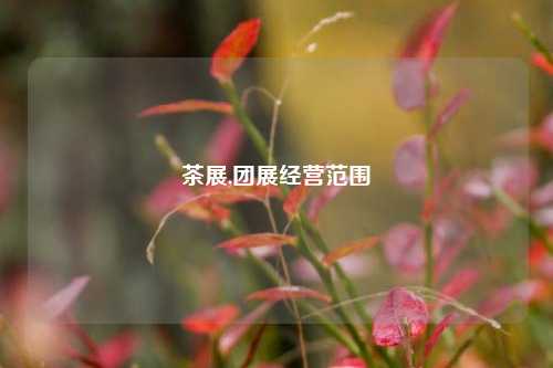 茶展,团展经营范围