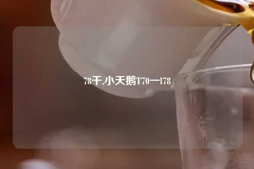 78干,小天鹅T70一l78