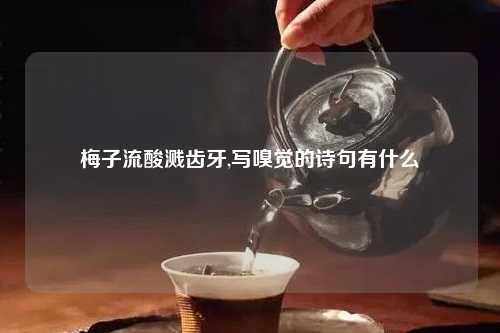 梅子流酸溅齿牙,写嗅觉的诗句有什么