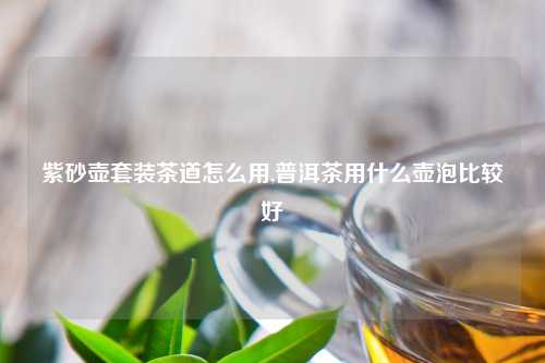 紫砂壶套装茶道怎么用,普洱茶用什么壶泡比较好