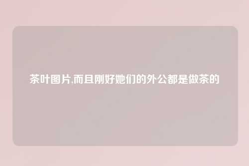 茶叶图片,而且刚好她们的外公都是做茶的