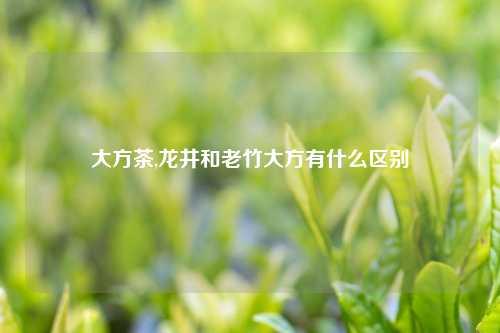 大方茶,龙井和老竹大方有什么区别