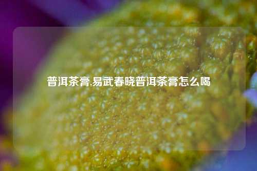 普洱茶膏,易武春晓普洱茶膏怎么喝