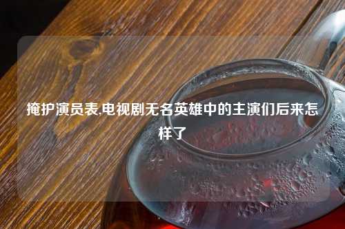 掩护演员表,电视剧无名英雄中的主演们后来怎样了