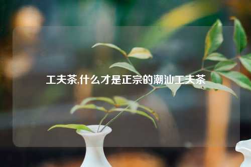 工夫茶,什么才是正宗的潮汕工夫茶