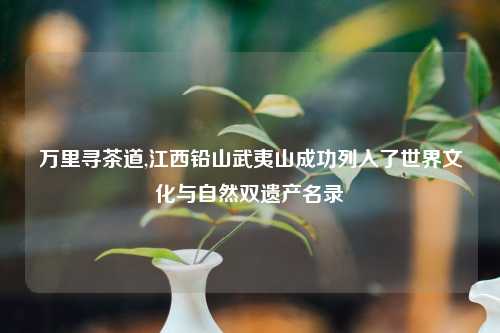 万里寻茶道,江西铅山武夷山成功列入了世界文化与自然双遗产名录