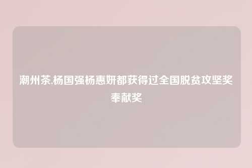 潮州茶,杨国强杨惠妍都获得过全国脱贫攻坚奖奉献奖