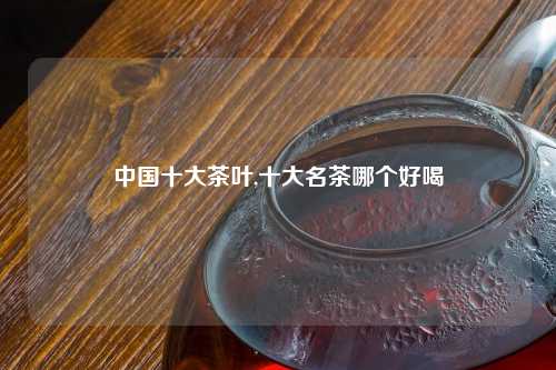中国十大茶叶,十大名茶哪个好喝