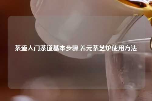茶道入门茶道基本步骤,养元茶艺炉使用方法