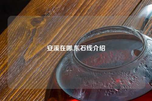 安溪在哪,东石线介绍