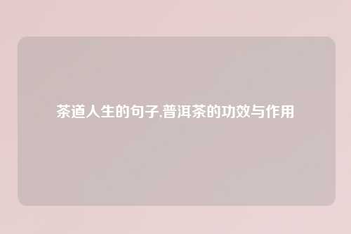 茶道人生的句子,普洱茶的功效与作用