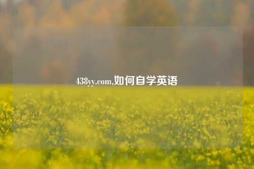 438yy.com,如何自学英语