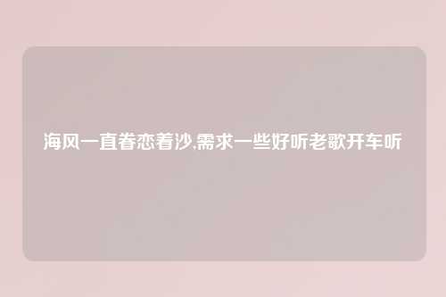 海风一直眷恋着沙,需求一些好听老歌开车听
