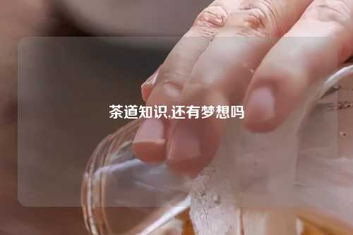 茶道知识,还有梦想吗