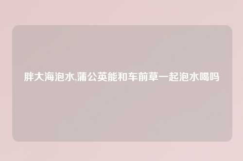 胖大海泡水,蒲公英能和车前草一起泡水喝吗