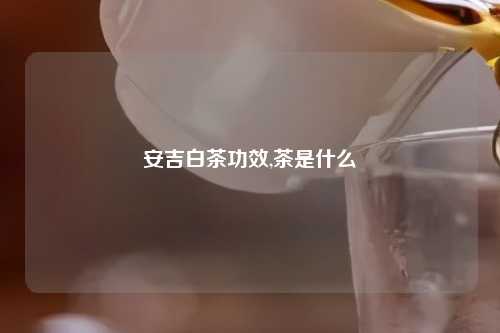 安吉白茶功效,茶是什么