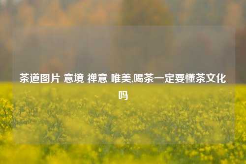 茶道图片 意境 禅意 唯美,喝茶一定要懂茶文化吗