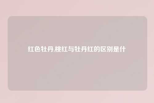 红色牡丹,桃红与牡丹红的区别是什