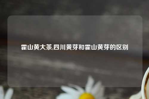 霍山黄大茶,四川黄芽和霍山黄芽的区别