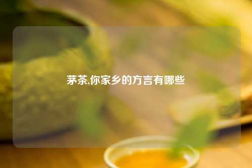 茅茶,你家乡的方言有哪些