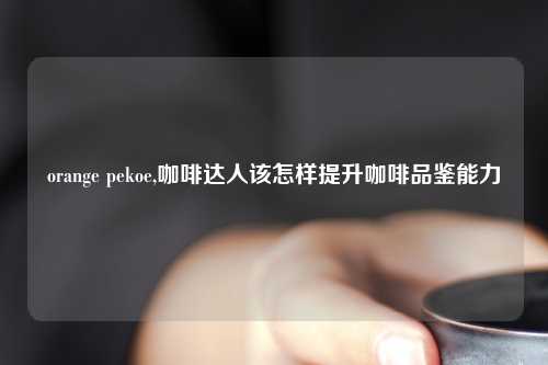 orange pekoe,咖啡达人该怎样提升咖啡品鉴能力