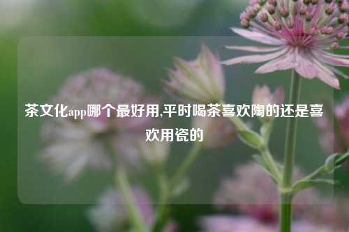 茶文化app哪个最好用,平时喝茶喜欢陶的还是喜欢用瓷的
