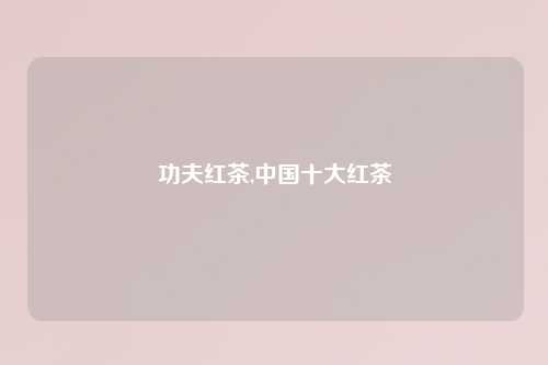 功夫红茶,中国十大红茶