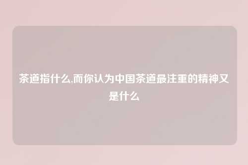 茶道指什么,而你认为中国茶道最注重的精神又是什么