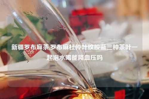 新疆罗布麻茶,罗布麻杜仲叶纹股蓝三种茶叶一起泡水喝能降血压吗