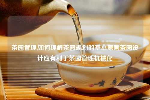 茶园管理,如何理解茶园规划的基本原则茶园设计应有利于茶园管理机械化
