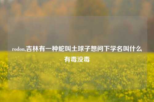 rodon,吉林有一种蛇叫土球子想问下学名叫什么有毒没毒