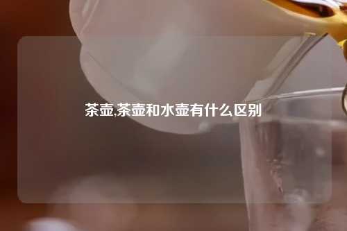 茶壶,茶壶和水壶有什么区别